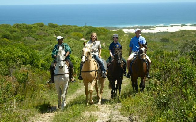 Exploring Gansbaai On Horseback